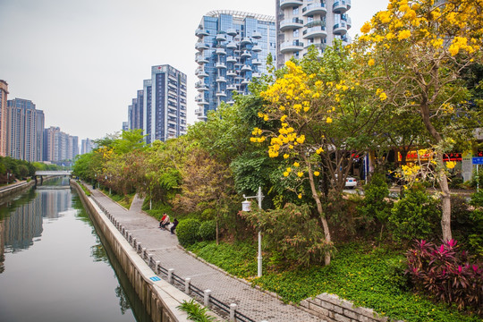 深圳后海中心河景观