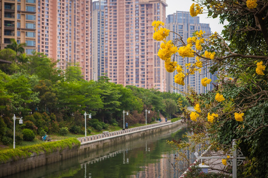 深圳后海中心河景观