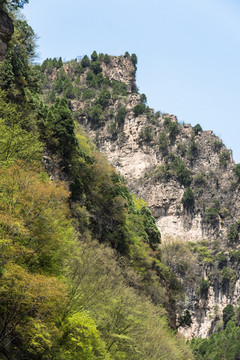 太行山大峡谷八泉峡