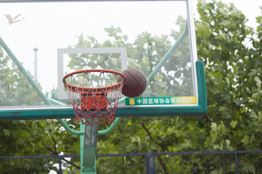 篮板篮球校园