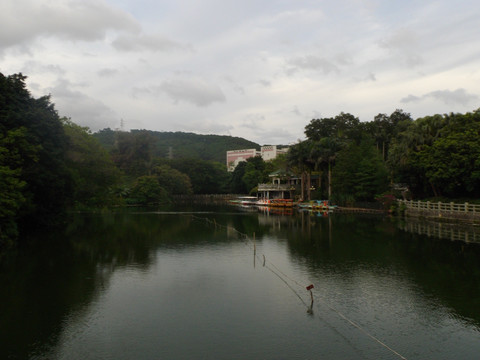 湖面美景