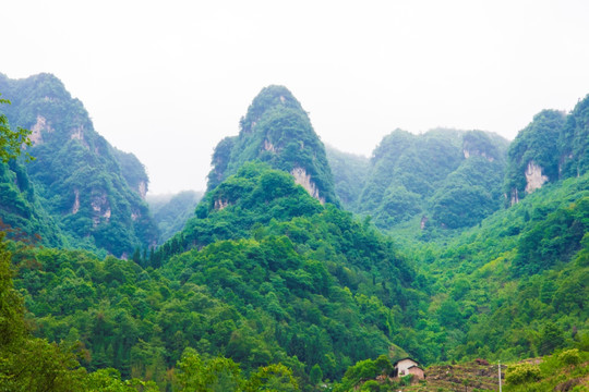 笔架山 山峰