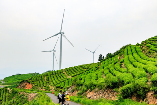 风力发电厂 风力发电机 风电场