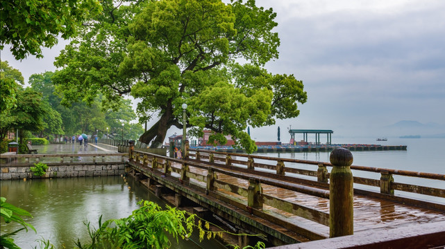 雨中西湖