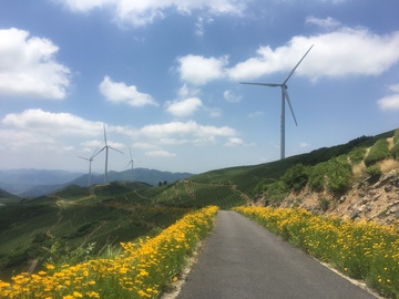 风车 花海 