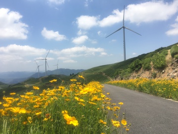 风车 花海 