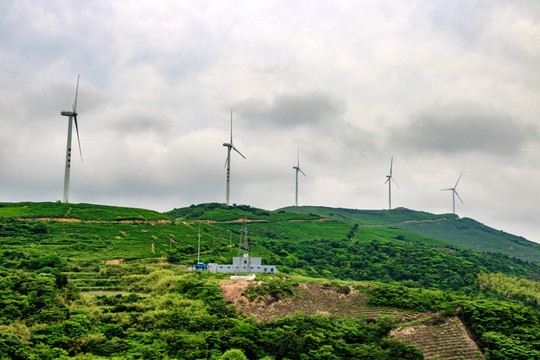 风电场 环保 能源 发电机
