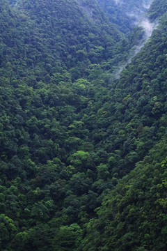 16茂兰国家级喀斯特森林