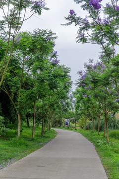 植物园林