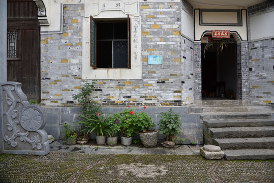 院内风景