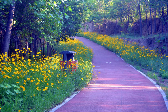 鲜花道路