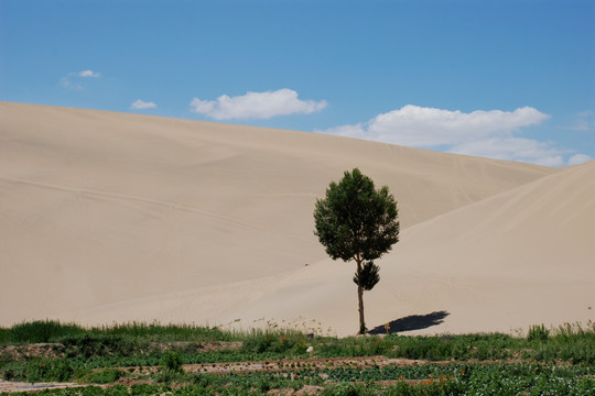 敦煌鸣沙山月牙泉风景区