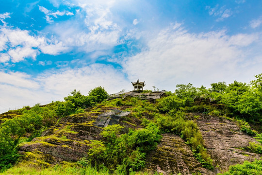 山坡苗圃