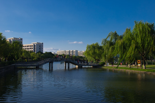 上海大学