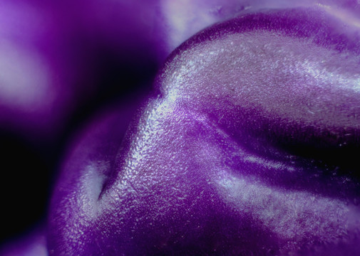 紫甘蓝 抽象画