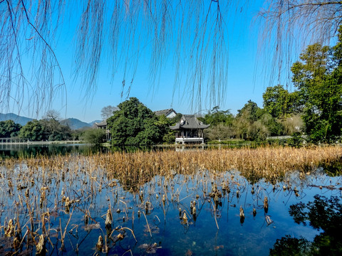 西湖风光 杭州西湖全景 西湖