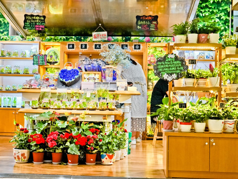 鲜花店 园艺店 高清大图