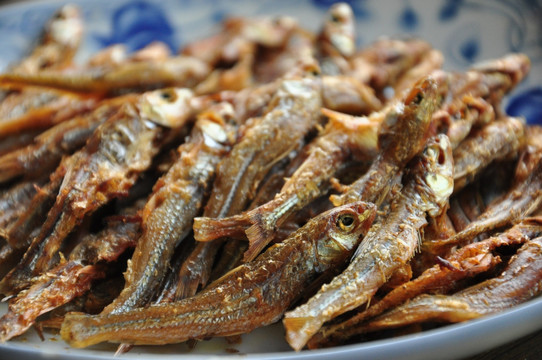 鱼 火培鱼 鱼干 湘江火焙鱼
