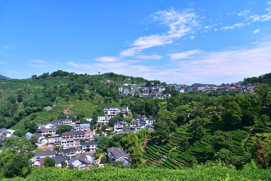 杭州西湖区杨梅岭村