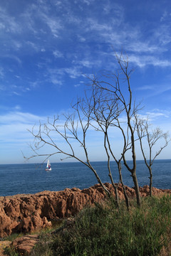 青岛风光