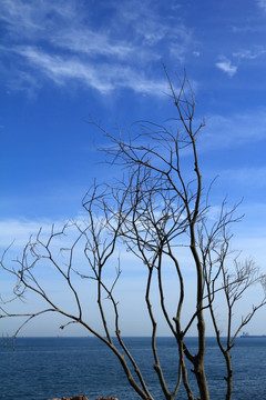 青岛风光