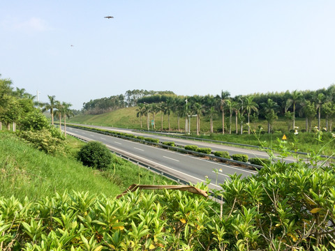 高速公路 绿化