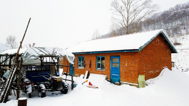 东北乡村 房屋 冬天 雪景