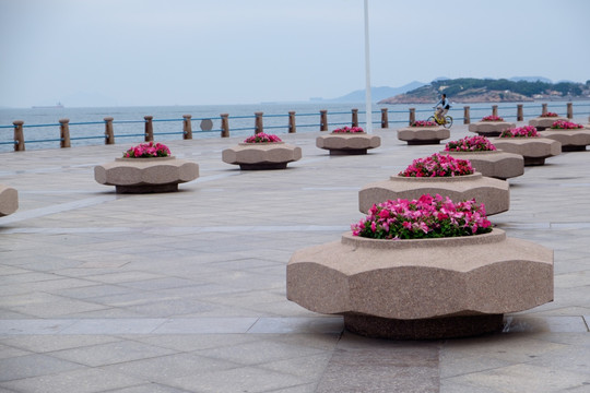 海边花坛