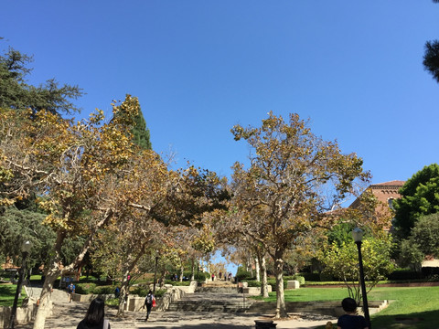 美国加州大学 校园风景