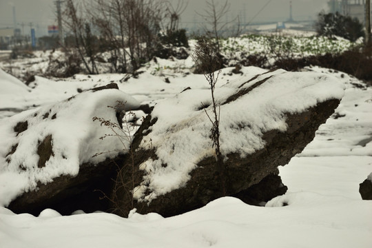 雪景