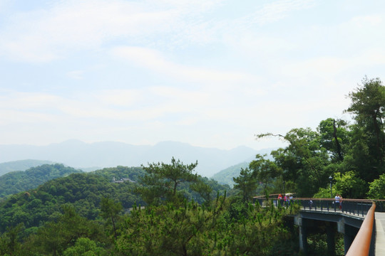 金鸡山公园