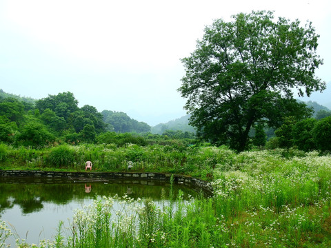 田园风光摄影