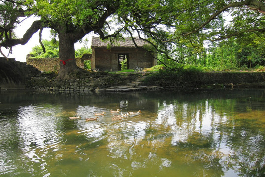 小溪