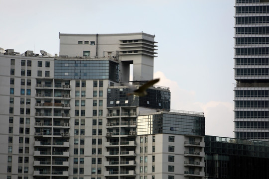 北外滩建筑