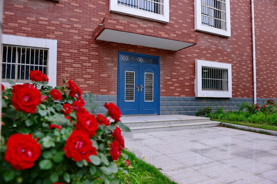 实验学校校园风光