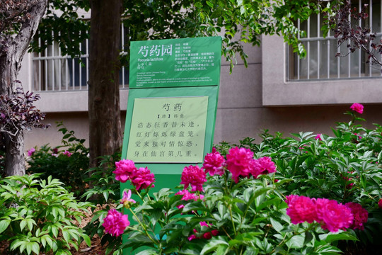 实验学校校园风光