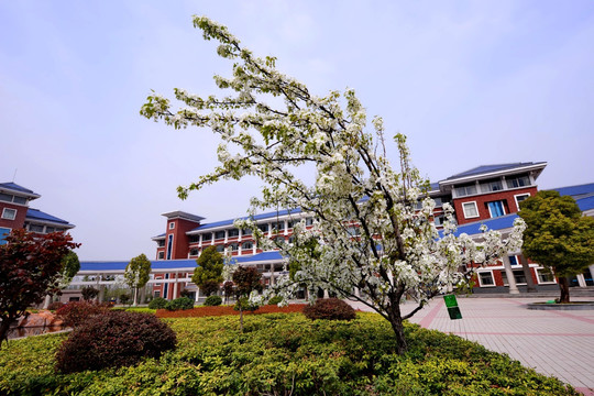 实验学校校园风光