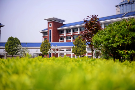 实验学校校园风光
