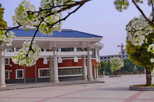 实验学校校园风光