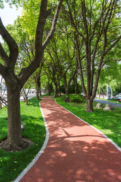 公园小路