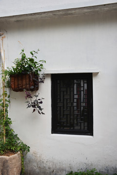 窗户 建筑