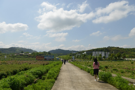 风景