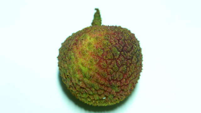 丽枝