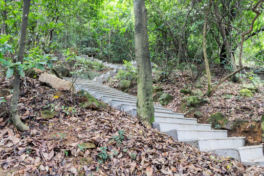 登山台阶户外漫步绿道曲折小路