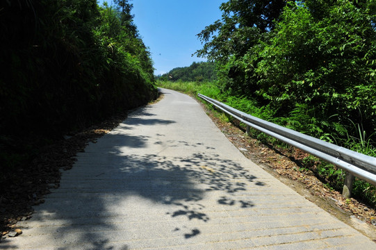 农村道路