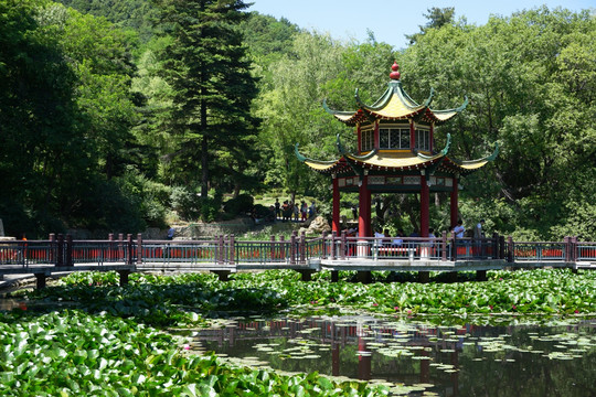 丹东 风景 锦江山公园