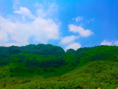 绿野 蓝天