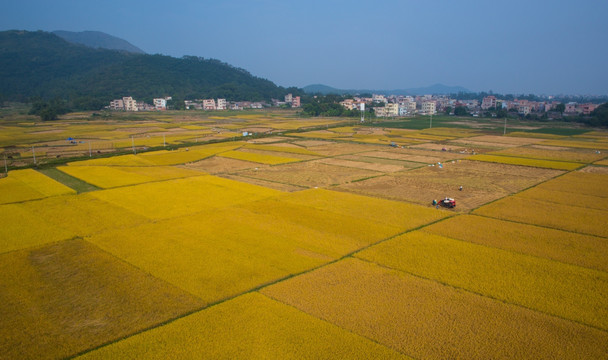 乡村 大地 秋色