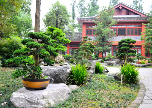 盆景园