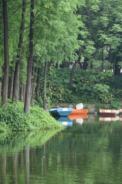 湖边美景